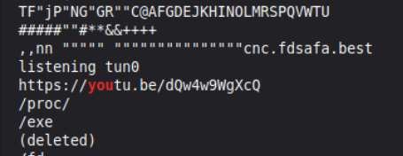 A YouTube link in a binary